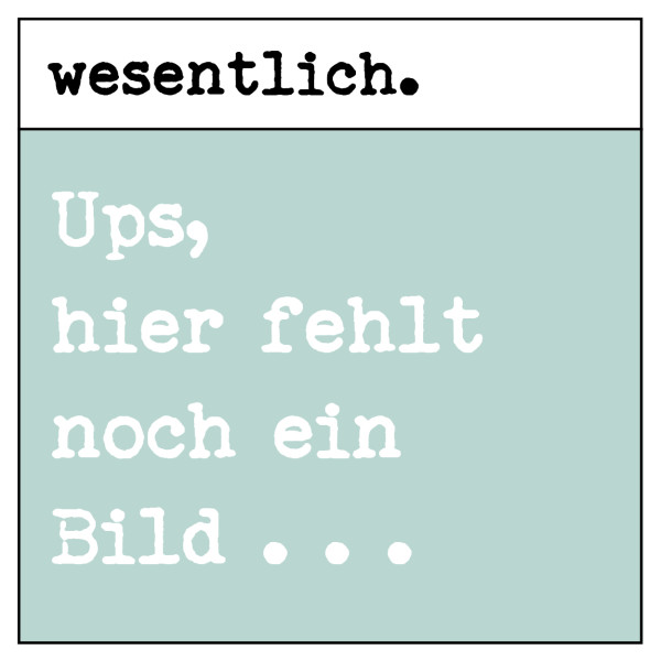 Braunglasflasche 250ml mit Originalitätsverschluss / 6er Set