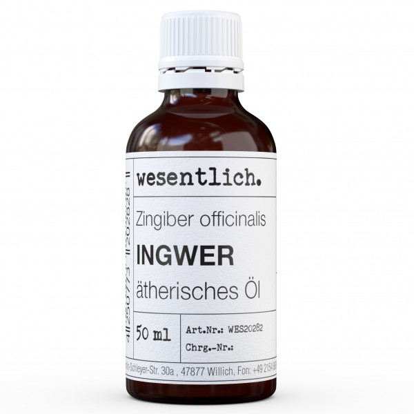 Ingwer